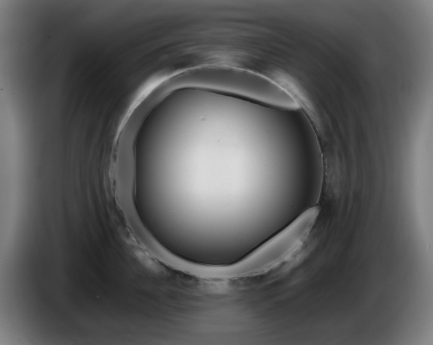 X0000086090956200703301148