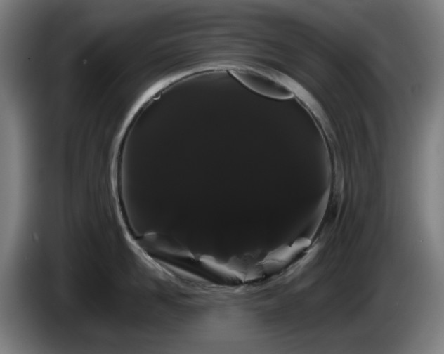 X0000086090958200703301148