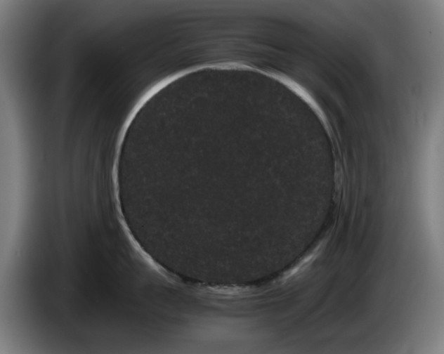 X0000086090959200703301148