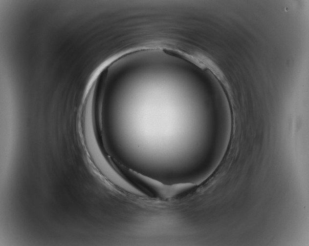 X0000086090960200703301148