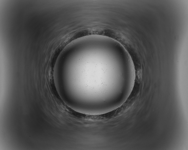 X0000086090963200703301147