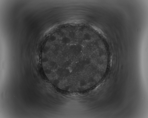 X0000086090966200703301147