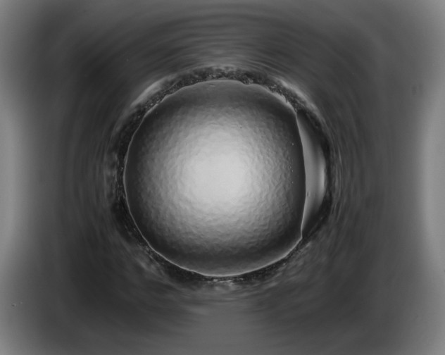 X0000086090968200703301147