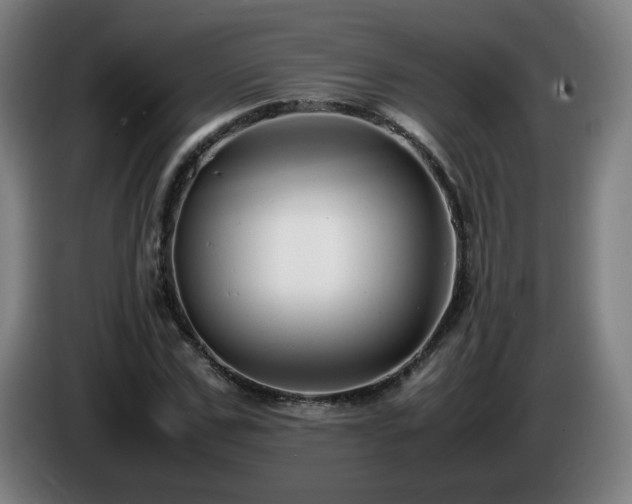 X0000086090971200703301147