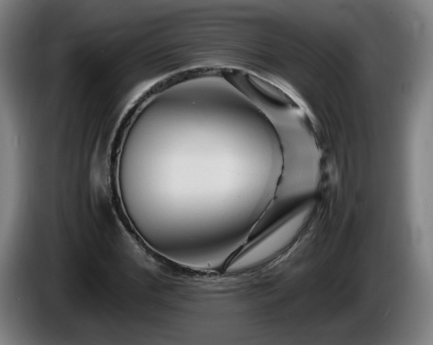 X0000086090972200703301147