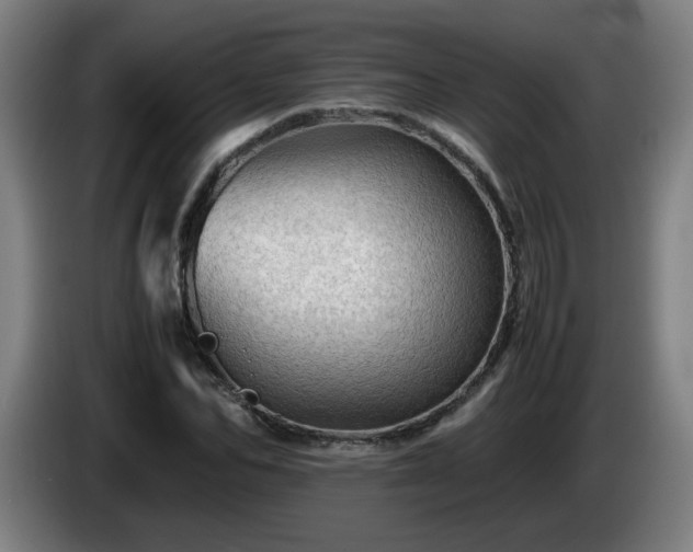 X0000086090974200703301147