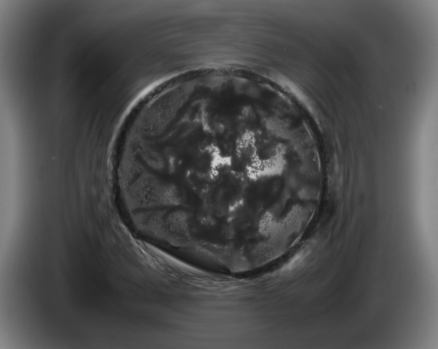 X0000086090975200703301147