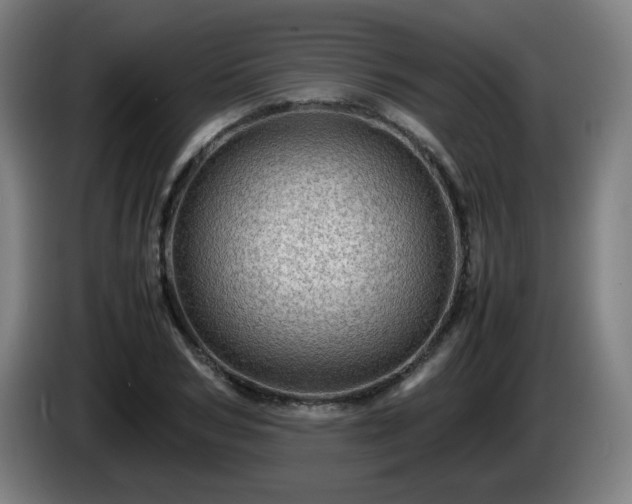 X0000086090978200703301147