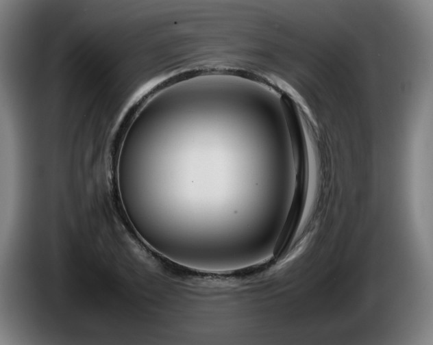 X0000086090981200703301147