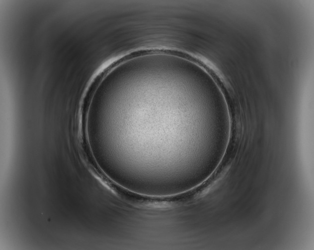 X0000086090982200703301147