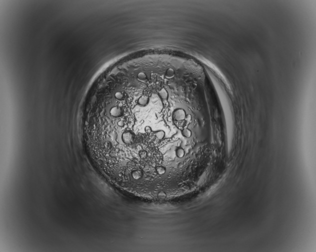 X0000086090983200703301147