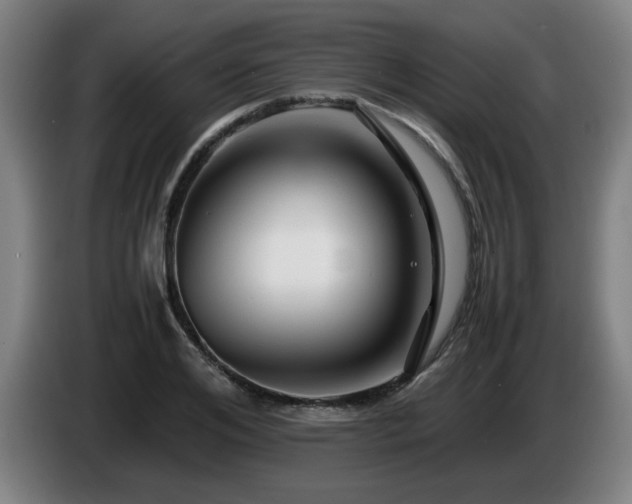 X0000086090984200703301147