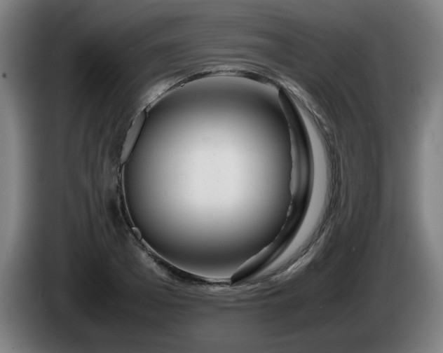 X0000086090985200703301147