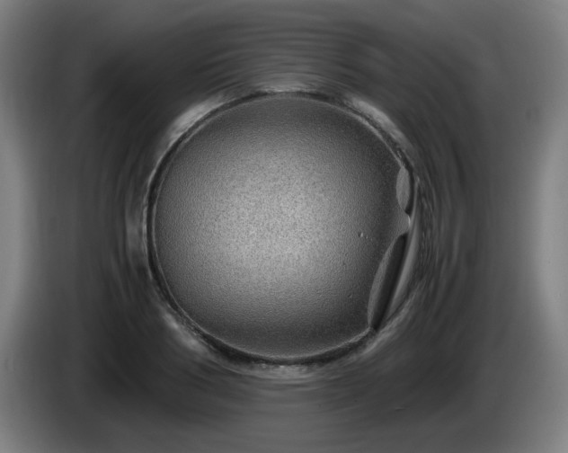 X0000086090986200703301147