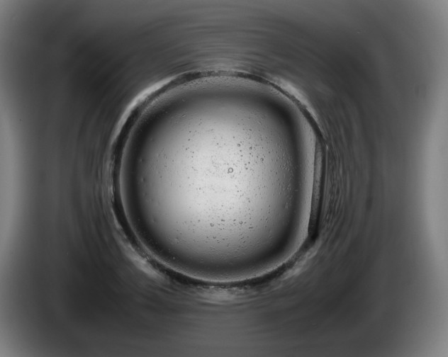 X0000086090987200703301147