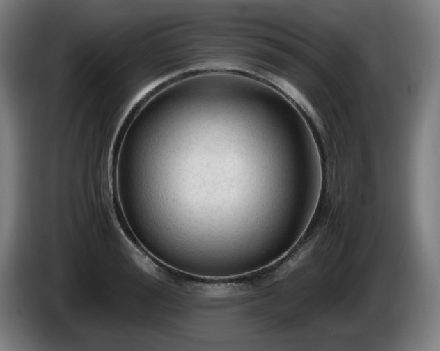 X0000086090988200703301147