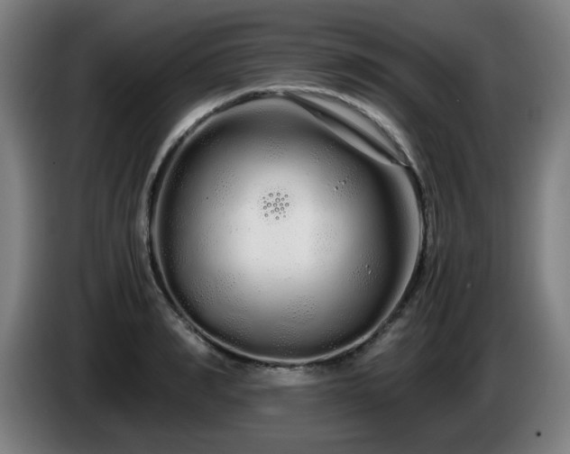 X0000086090990200703301147