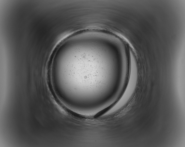 X0000086090991200703301147