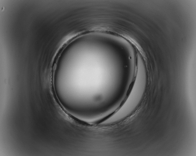 X0000086090992200703301147