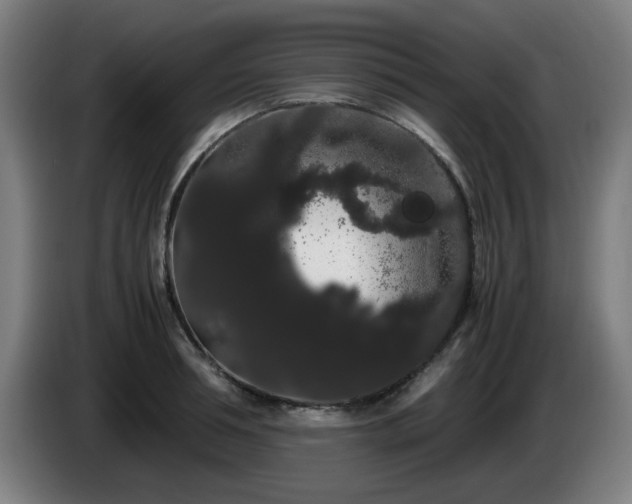 X0000086090994200703301147