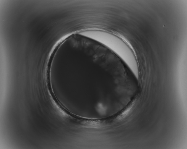 X0000086090995200703301147