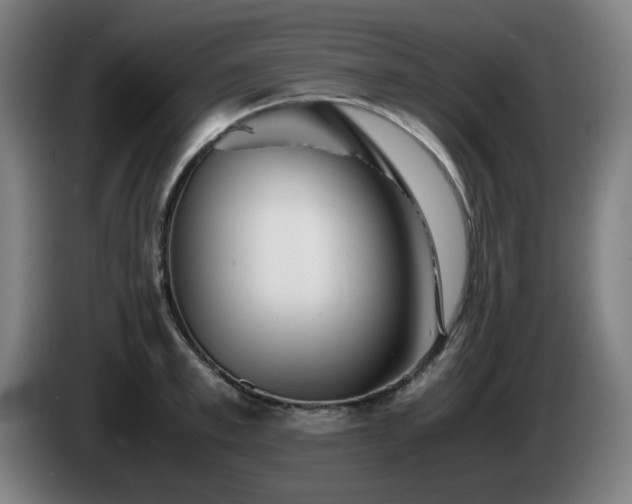 X0000086090997200703301147