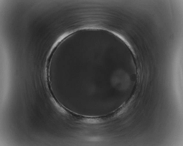 X0000086090998200703301147