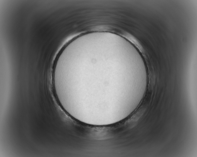 X0000086091000200703301147