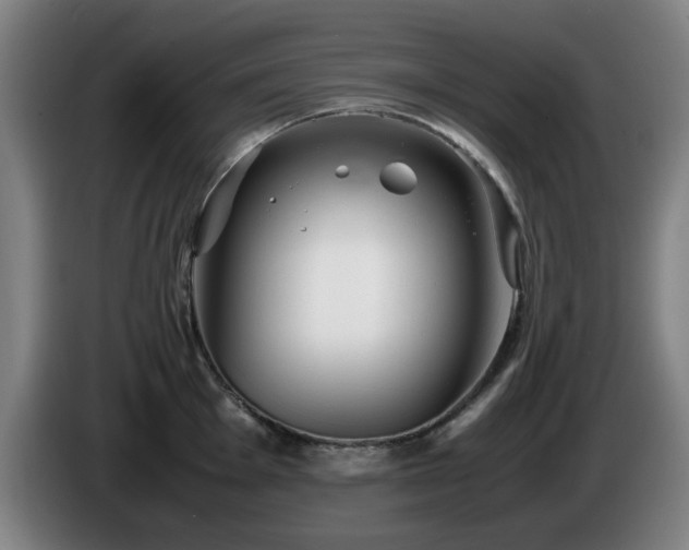 X0000086091001200703301147