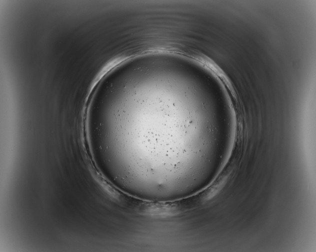 X0000086091002200703301147