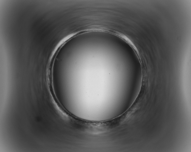 X0000086091003200703301147