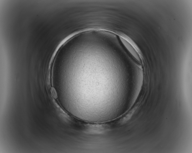 X0000086091004200703301147