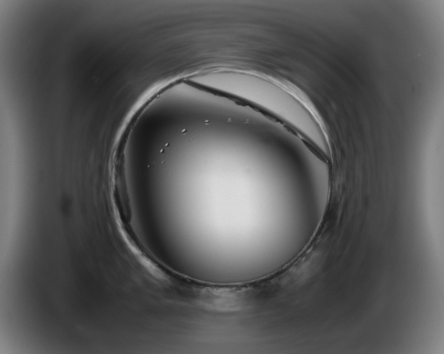 X0000086091005200703301147