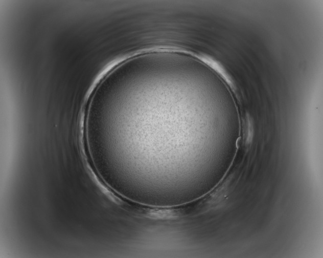 X0000086091006200703301147