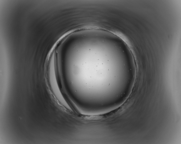 X0000086091008200703301147