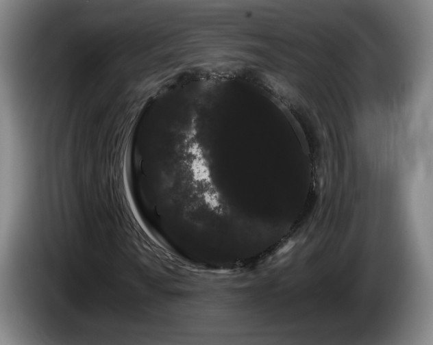 X0000086091010200703301146