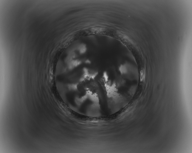 X0000086091011200703301146