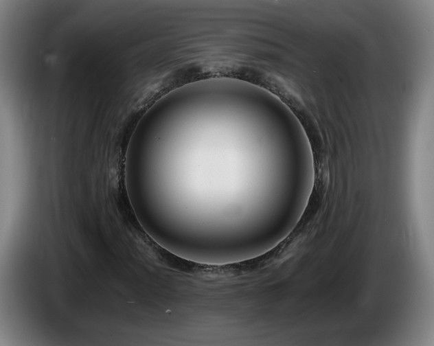 X0000086091012200703301146