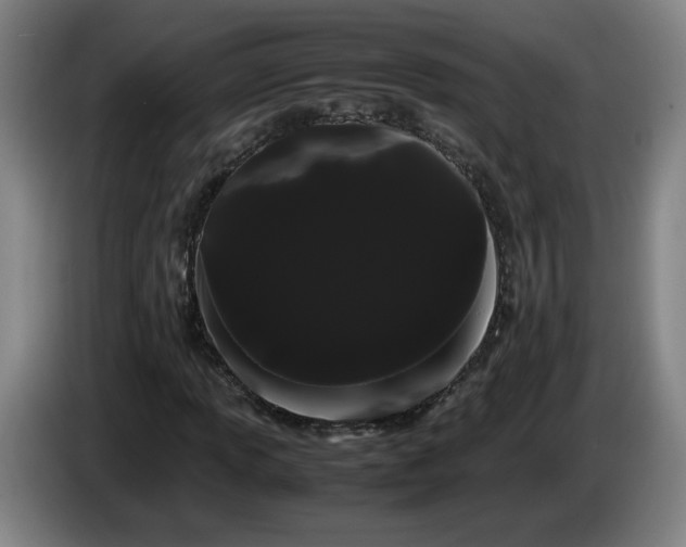 X0000086091013200703301146