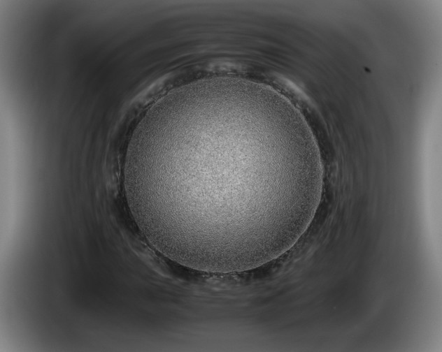 X0000086091015200703301146