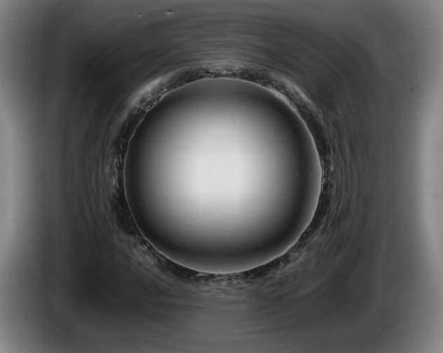 X0000086091016200703301146