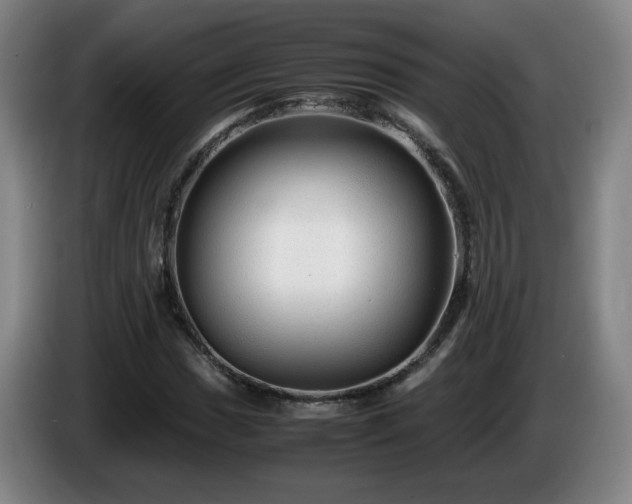 X0000086091017200703301146