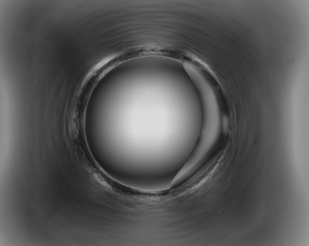 X0000086091018200703301146