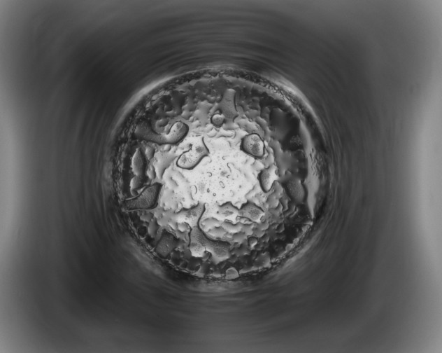 X0000086091019200703301146