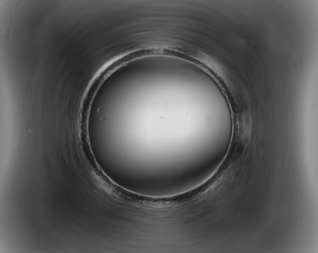 X0000086091020200703301146