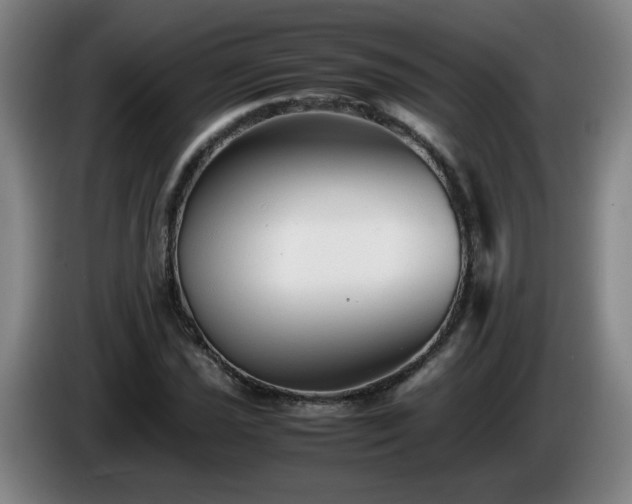 X0000086091021200703301146