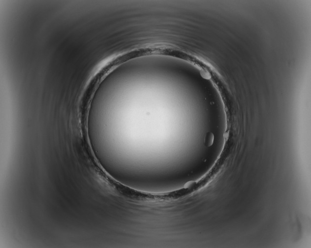 X0000086091022200703301146