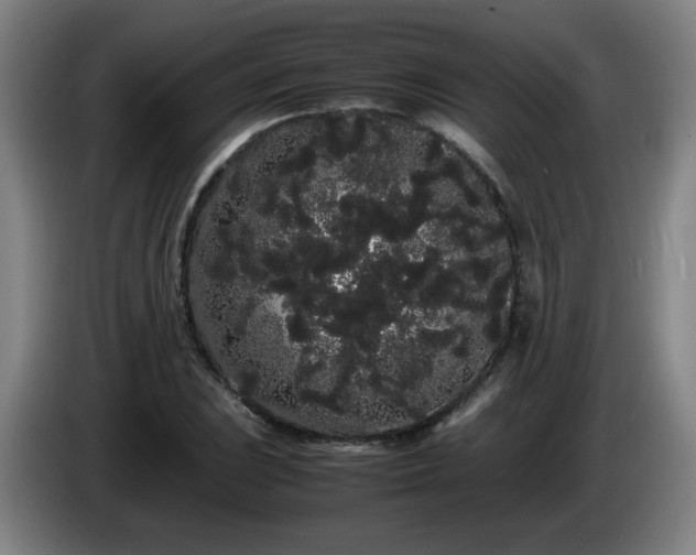 X0000086091023200703301146