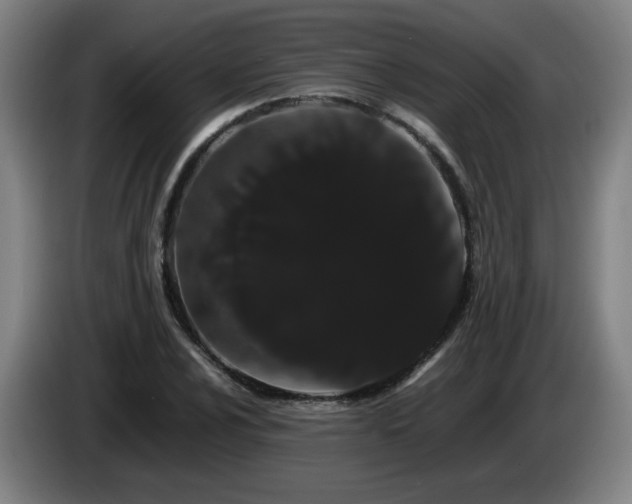 X0000086091024200703301146