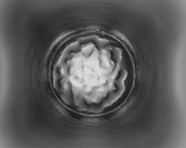 X0000086091027200703301146